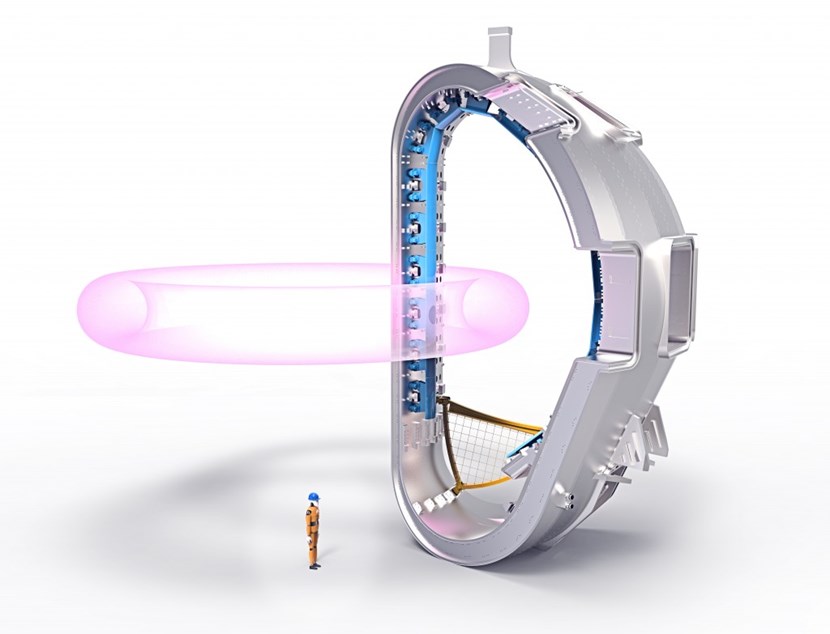 A cost-effective temporary protection system will be installed in the vacuum vessel during First Plasma to prevent damage of already installed components. (Click to view larger version...)